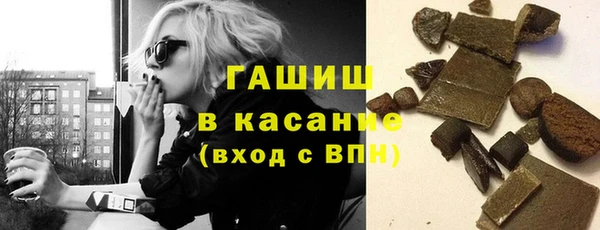 гашик Гусь-Хрустальный