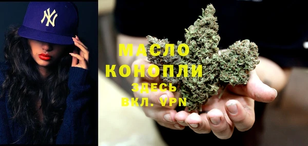 прущая мука Дмитриев