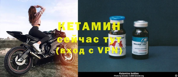 шишки Гусев