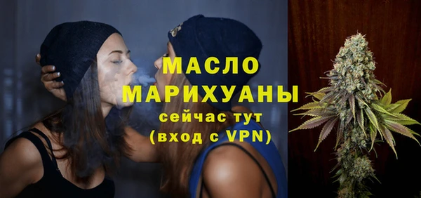 гашик Гусь-Хрустальный