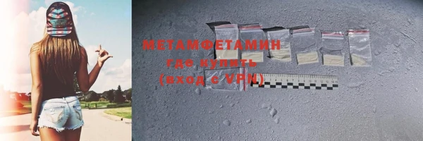 шишки Гусев
