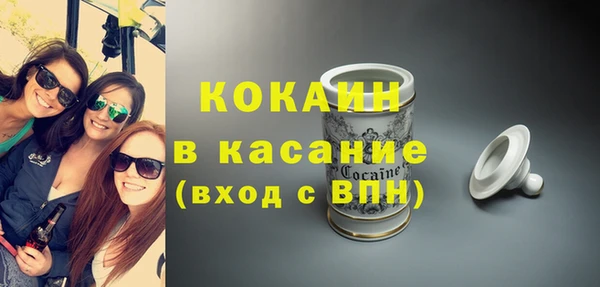 гашик Гусь-Хрустальный