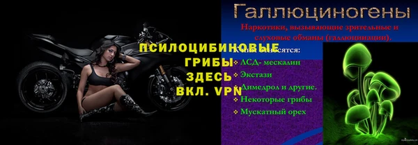 прущая мука Дмитриев