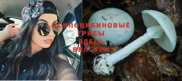 apvp Гусиноозёрск