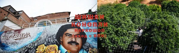 шишки Гусев