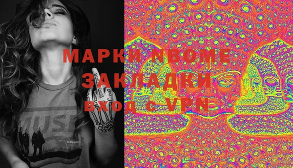 шишки Гусев