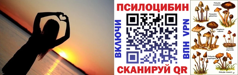 Галлюциногенные грибы Psilocybine cubensis  Жиздра 